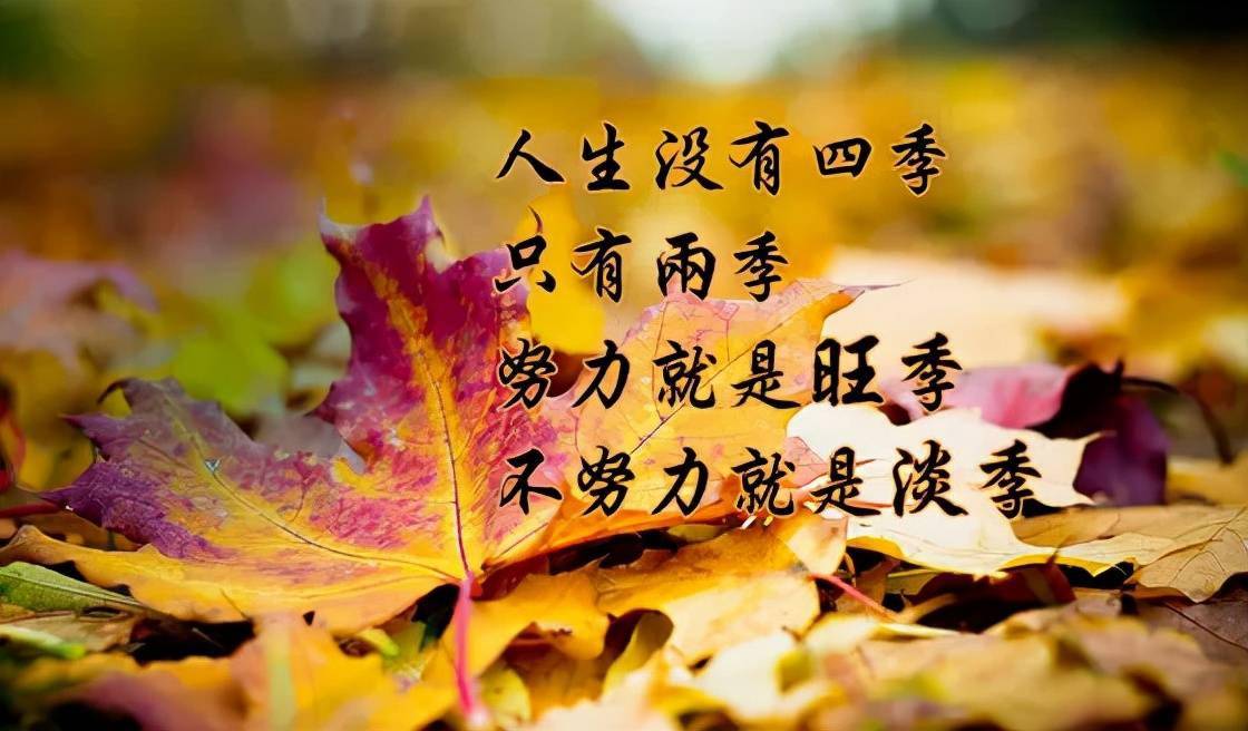 {線上賭場}(正能量格言一句话图片)